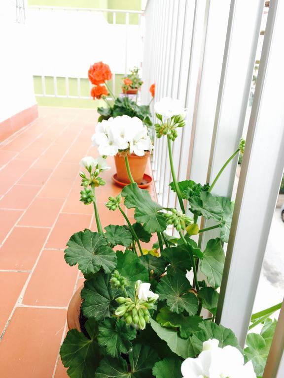 Axarquia Apartments เนร์คา ภายนอก รูปภาพ